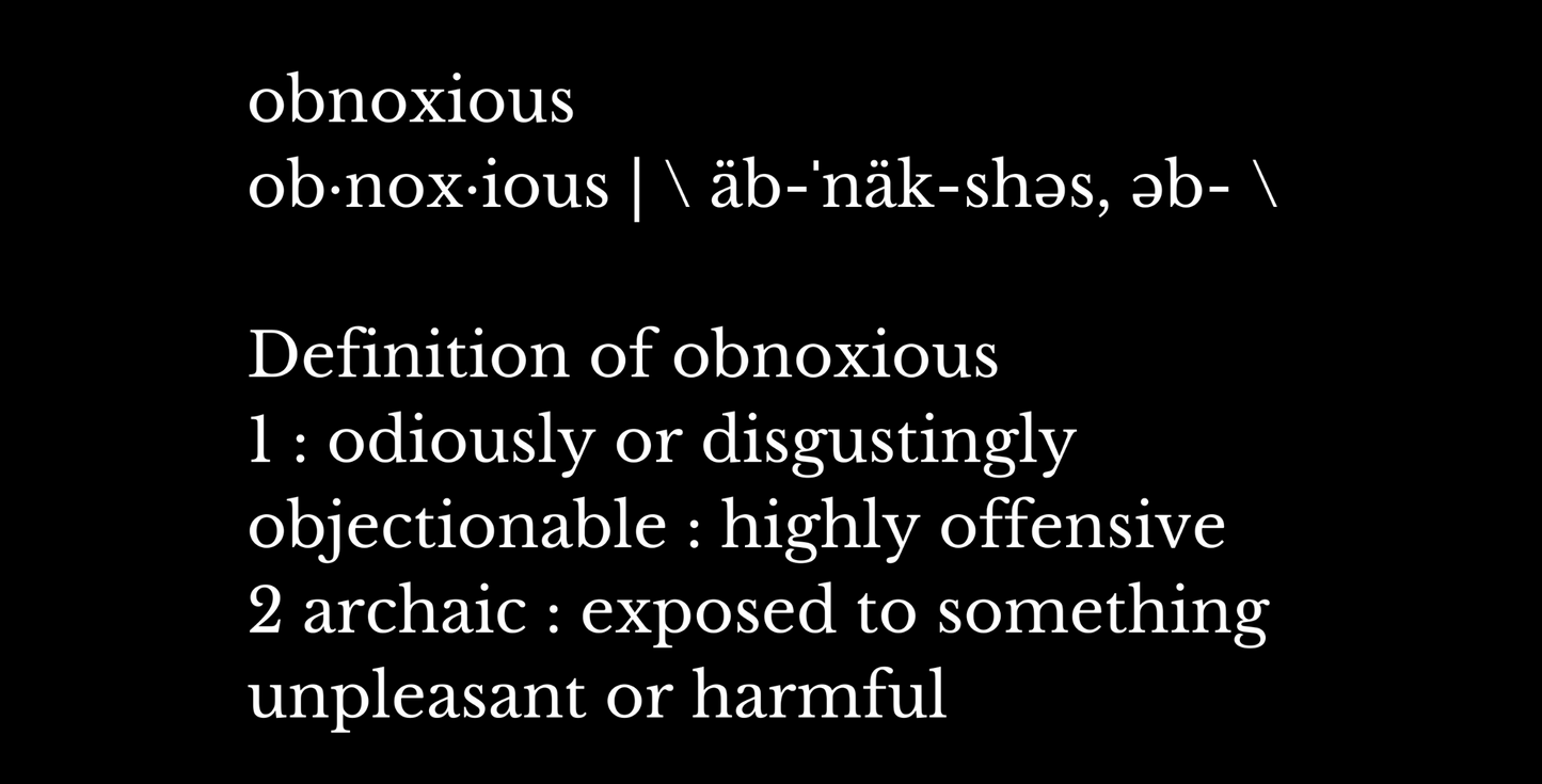 Obnoxious Definition - Obnoxious Apparel - Funny Offensive Shirts Men